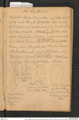 Seite 9, Tagebuch "Diluvium | Getzersdorf | Statzendorf | Willendorf | Mießling-Tal | Höhlen in Kremstal" (NHMW-PRAE-BBB-04)